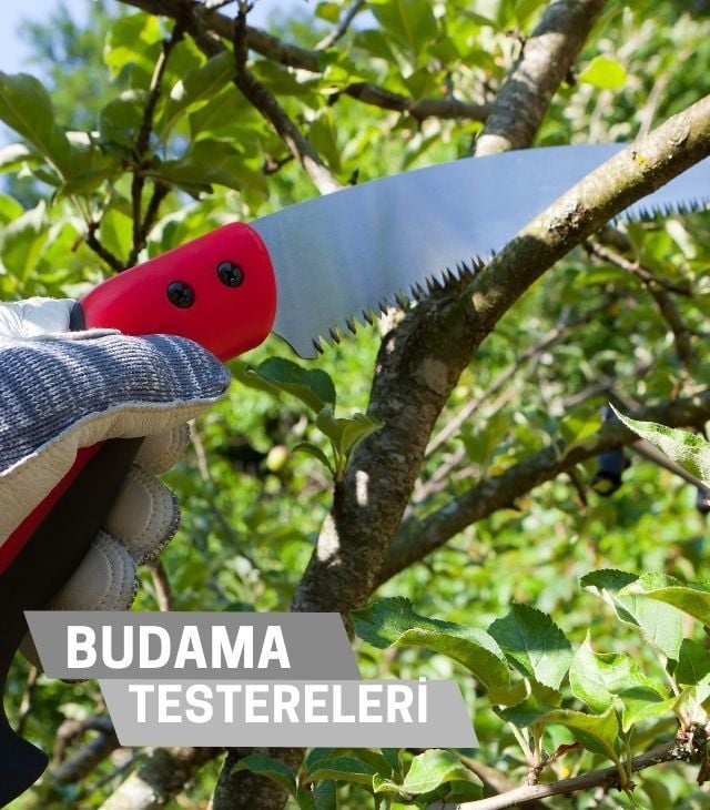 <div>Budama Testeresi</div>
