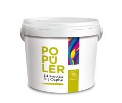POPÜLER SİLİKONLU DIŞ CEPHE A BAZ 20 KG