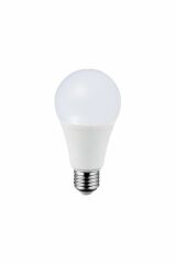 LED AMPÜL 20 WATT