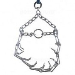 KÖPEK HIŞI